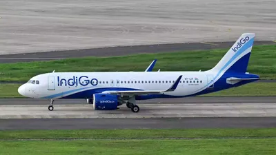 indigo flight turns back due to overbooked passenger standing at the back