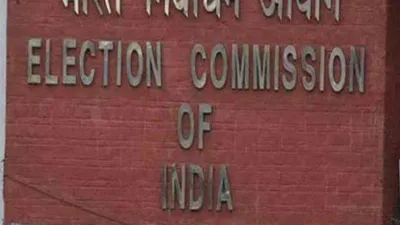 ahead of lok sabha polls  ec makes fresh electoral bonds data public