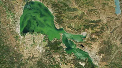 nasa spots clear lake turned  green  from space  know more