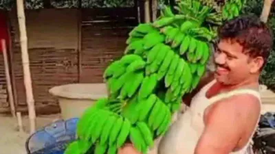 bihar farmer cultivates 9 foot long banana trees  earns rs 20 lakh annually