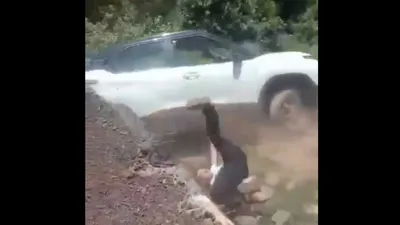 driver s near death escape  tata punch plummets down cliff in shocking video