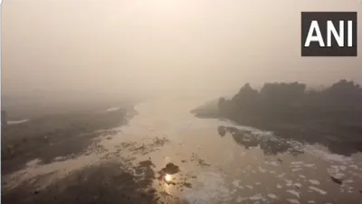 delhi pollution  foam floats over surface of yamuna river  aqi remains poor  pics inside