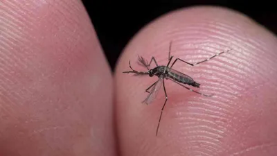 innovative karnataka man creates eco friendly mosquito catching machine