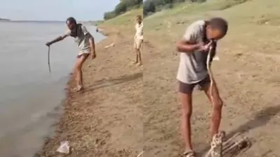 man eats snake live from river  internet calls him ‘bear grylls ka phupaa’