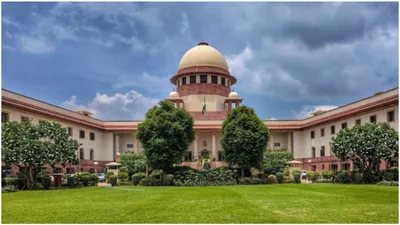 sc rejects environmental lawyer s plea challenging income tax assessment of funds from usa