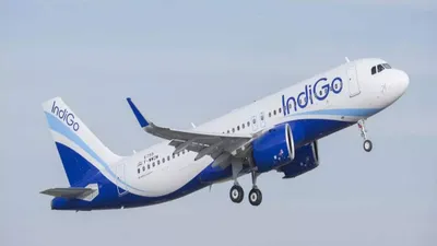 indigo to introduce business class on flights by year end