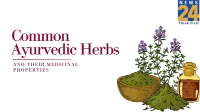 the wonders of the plant kingdom – ayurvedic herbs