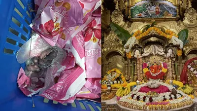 siddhivinayak temple trust claims viral video of mice found in prasad not from their temple