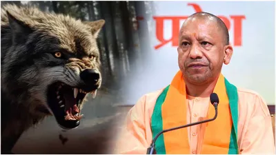 mayhem in up  wolf kills 3 year old girl  government issues advisory