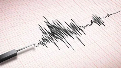 japan shaken by 7 1 magnitude earthquake  tsunami warning issued