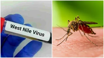 kerala issues advisory on mosquito control as west nile fever strikes 3 districts