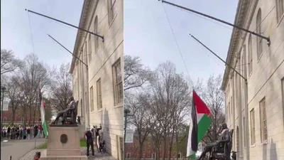 israel hamas conflict  palestinian flag hoisted at harvard as protests intensify at us universities