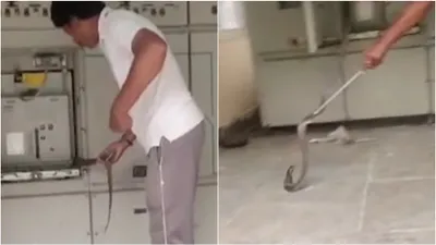 kota faces cobra surge  forcing water supply shutdown after snakes invade filtration plant