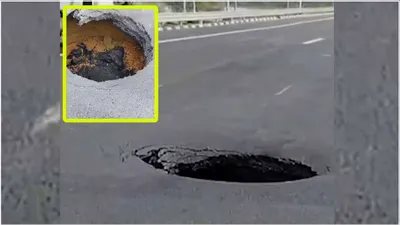 employee blames rats for hole in delhi mumbai highway  gets fired by company