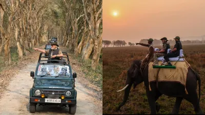 pm modi takes  jeep and elephant safari  at kaziranga national park in assam