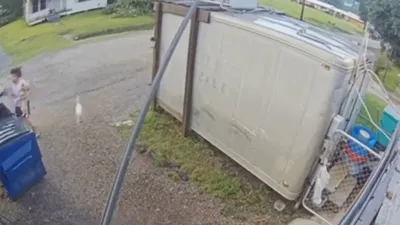 woman throws puppies in dumpster  shocking footage goes viral  ignites fury
