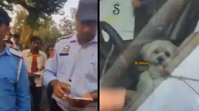 outrage on social media after video shows traffic cop accused of slapping man s pet dog