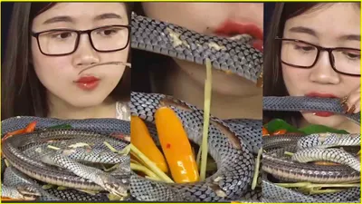  thank god  i live in india   woman chews snake like a carrot  internet reacts