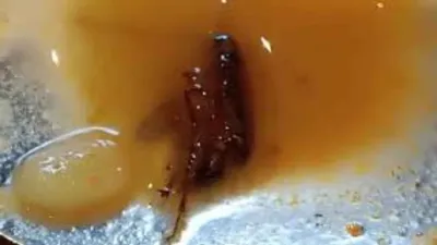 cockroach found in sambar of a 5 star hotel  sealed for 48 hours