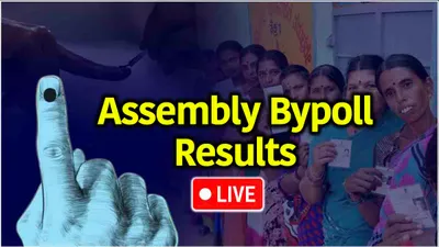 assembly bypoll results live  india stuns bjp  secures 10 of 13 assembly seats