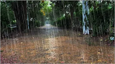 imd alert  from mumbai to up   very heavy  to  heavy  rainfall likely   check weather forecast for next 2 days