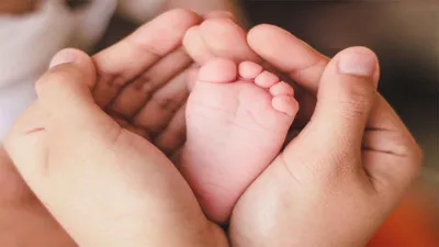 bengaluru  22 week old female foetus found in hospital dustbin  doctor evades authorities