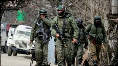 intense operation continues in gadole forest area of anantnag  kashmir