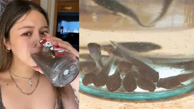  tadpole water’  the viral weight loss trend taking gen z by storm 