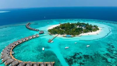 easemytrip ceo clarifies situation over ‘resumption’ of bookings to maldives amid attack from congress