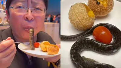 internet in disgust over chinese twist on  golgappas  with live eel