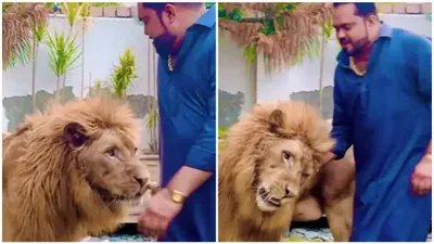 pakistani man walking with lion leaves internet stunned   watch