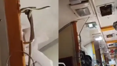 shocking  snake spotted on garib rath express train  sparks panic among passengers – watch video