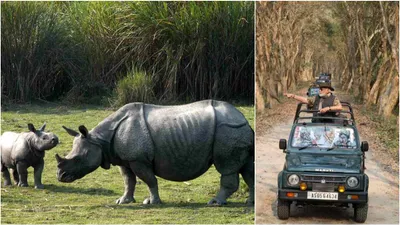 pm modi’s visit turns kaziranga to tourism hotspot