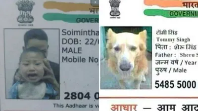 unbelievable  this aadhaar card headshot turns unflattering id photos into confidence boosters overnight 