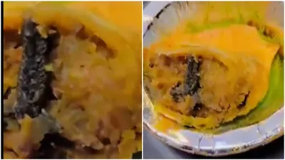 frog leg found in samosa purchased from ghaziabad sweet shop  investigation launched