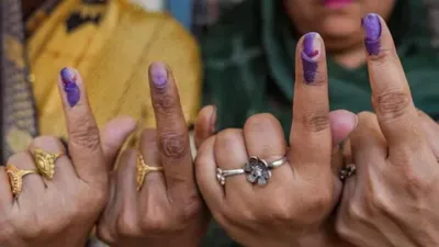 haryana assembly election 2024  7 key constituencies to watch as voting begins across 90 seats