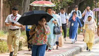 192 homeless people in delhi died during june 11 19 heatwave  report