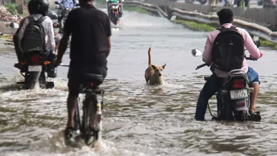 imd predicts continuous heavy rains in september  advises caution amid above normal showers